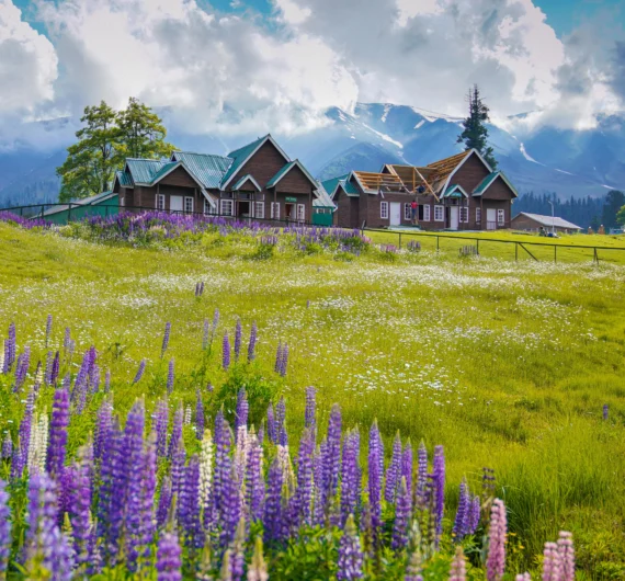 gulmarg
