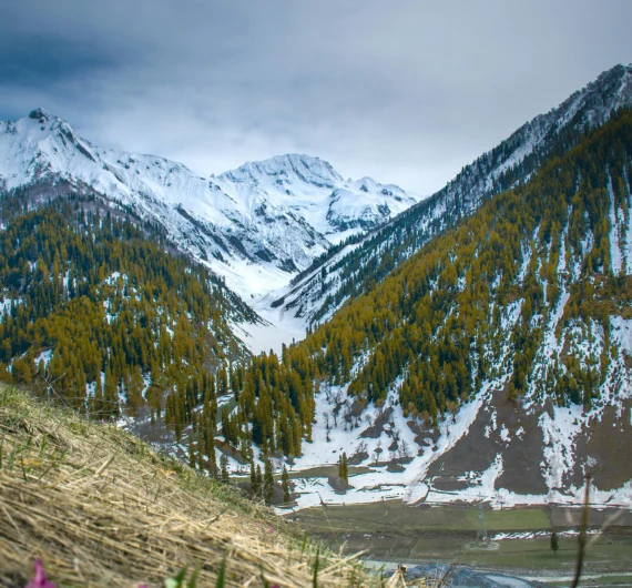 sonmarg