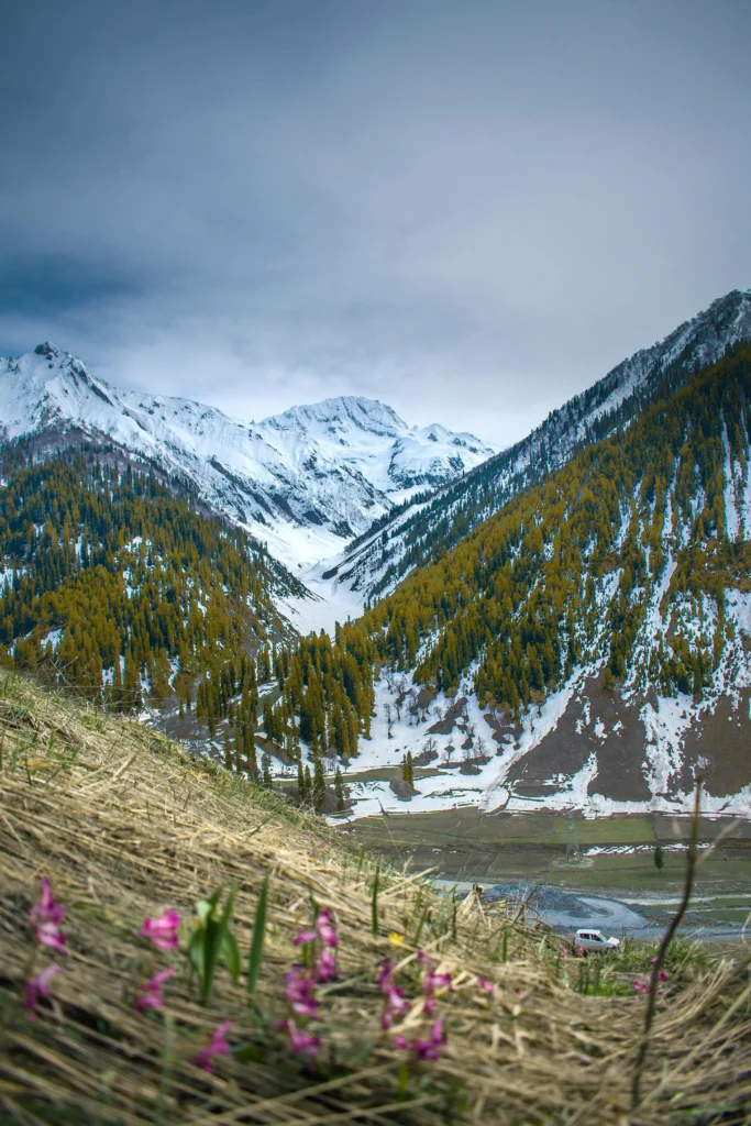 sonmarg