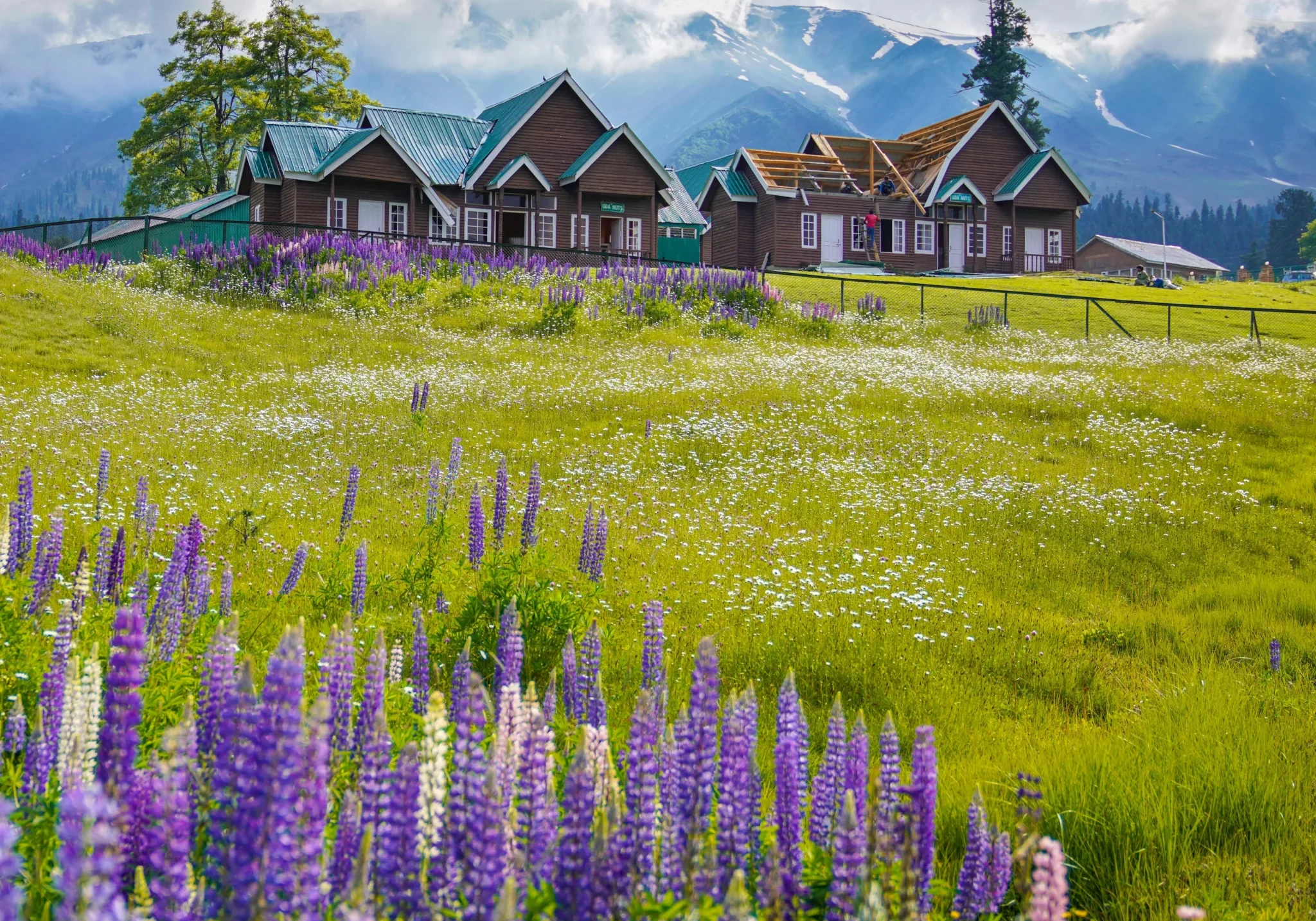 pexels-imadclicks-8627909-scaled